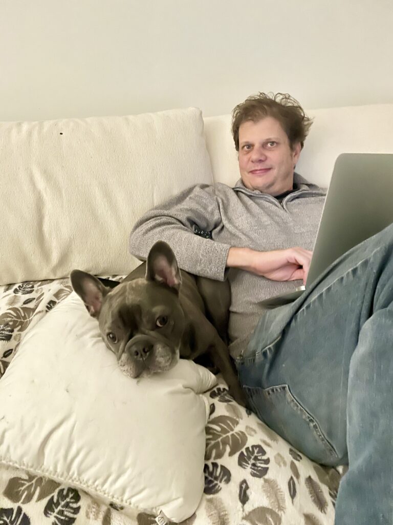 NYC Frenchie