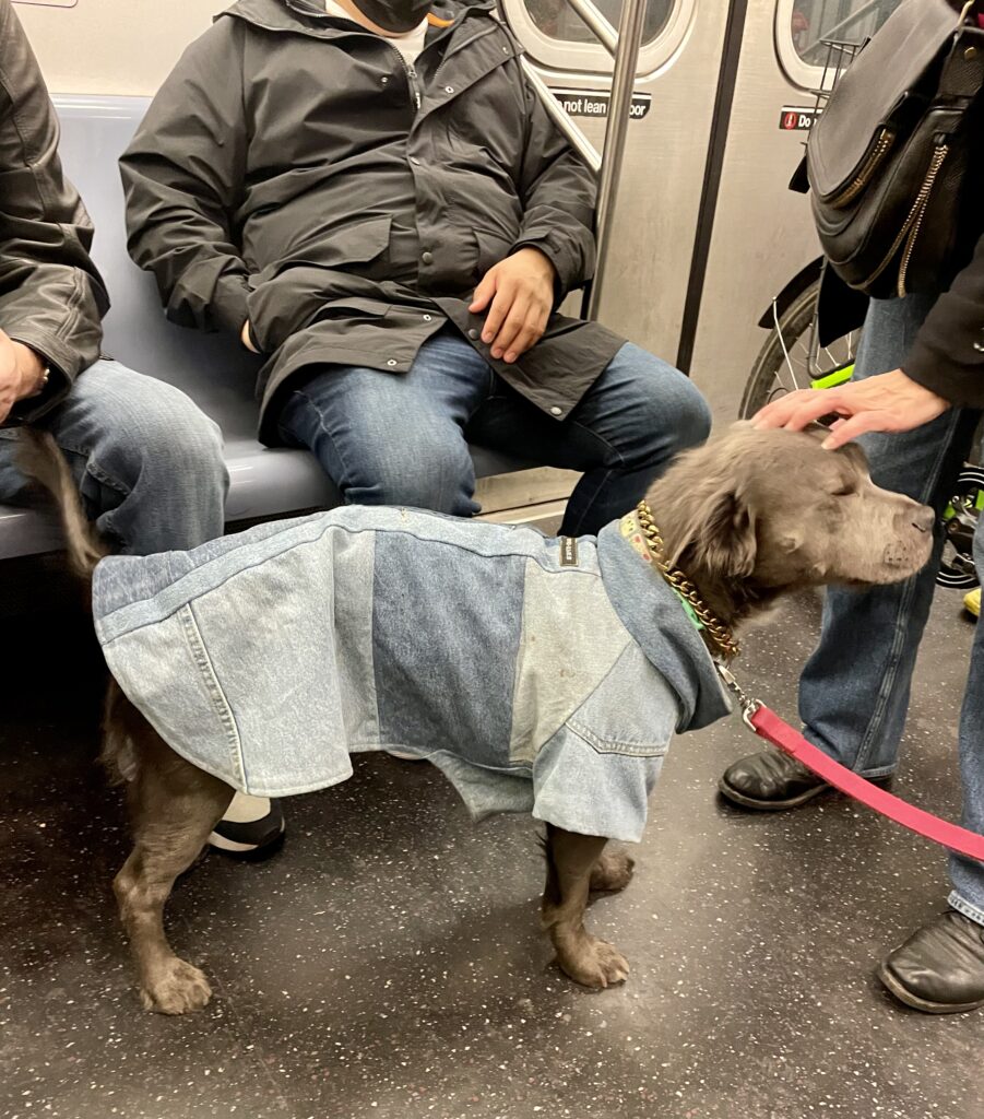 NYC Subway