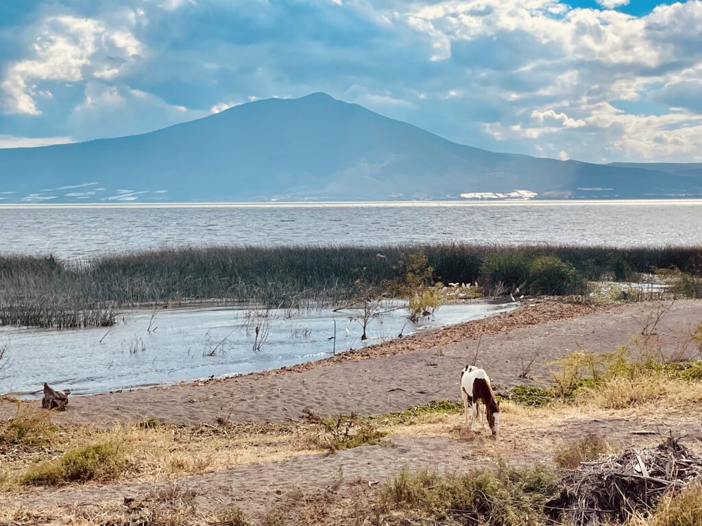 Lake Chapala Mexico