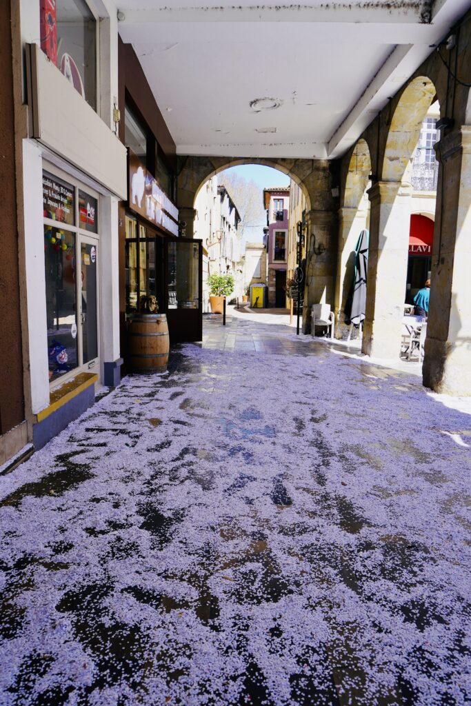 Carnival in Limoux France (Carnaval de Limoux)