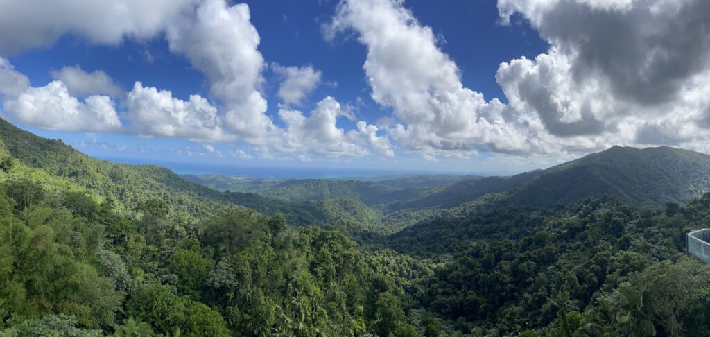 El Yunque