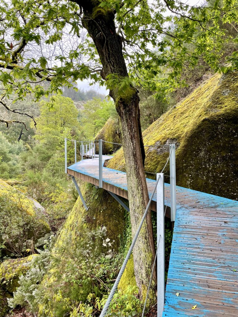 Trilho dos Gaios Trail,