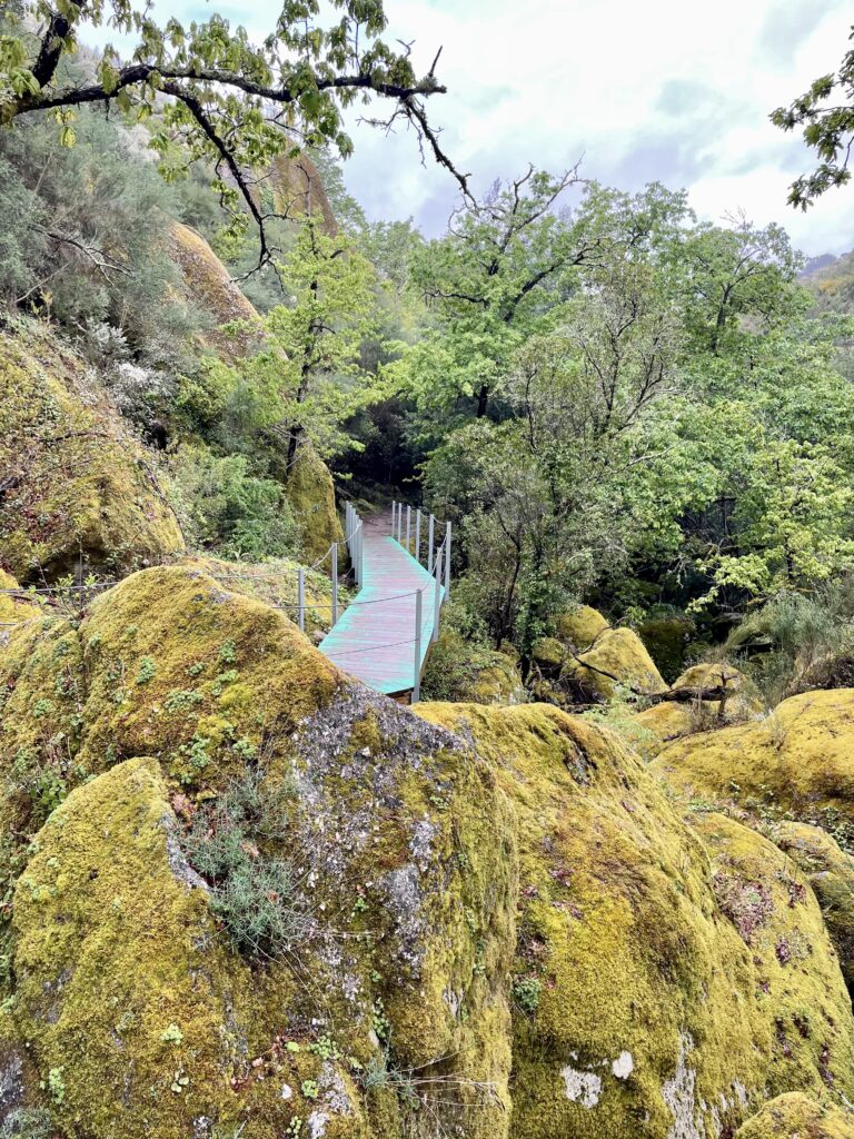 Trilho dos Gaios Trail,