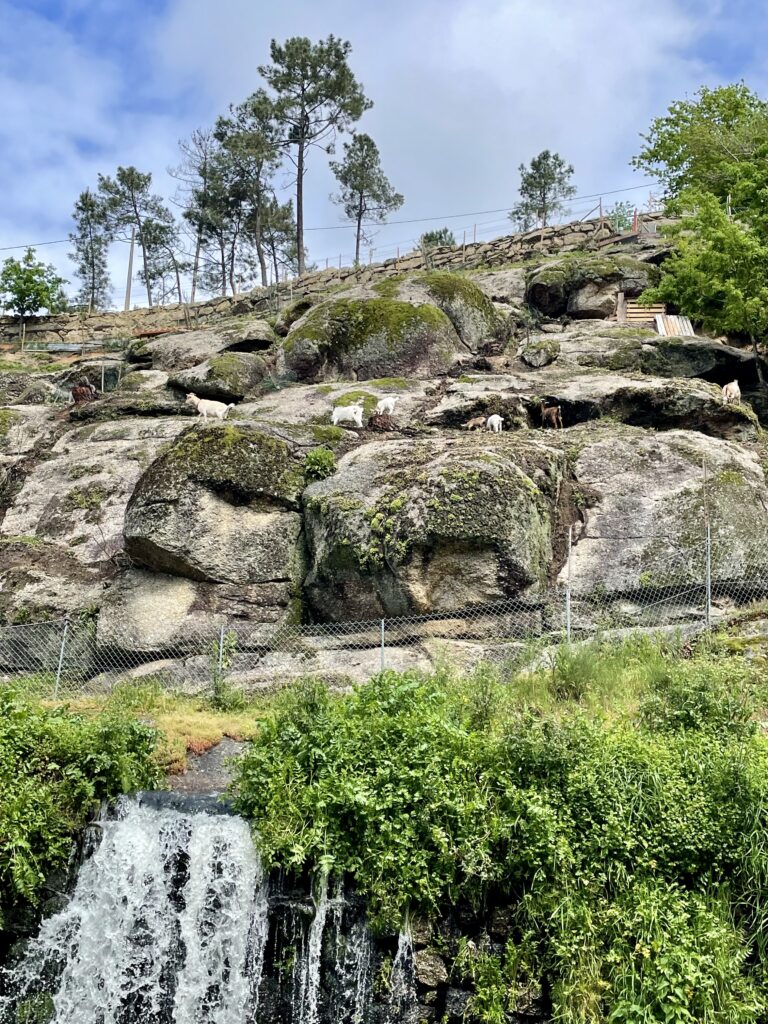 Trilho dos Gaios Trail,