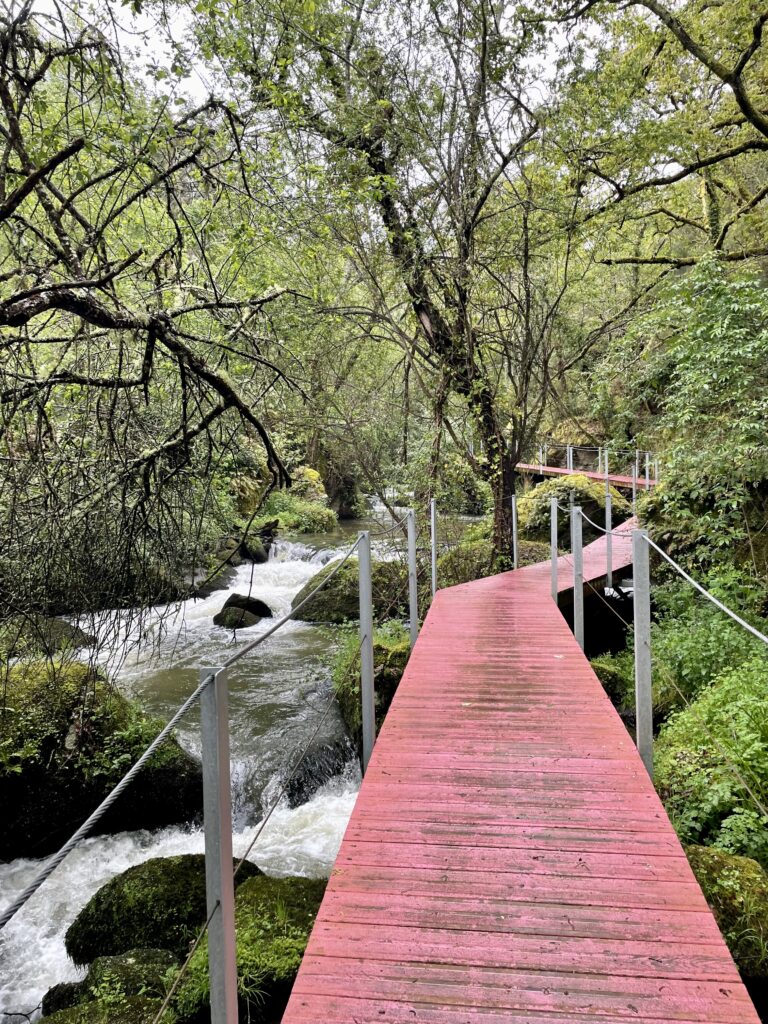 Trilho dos Gaios Trail,