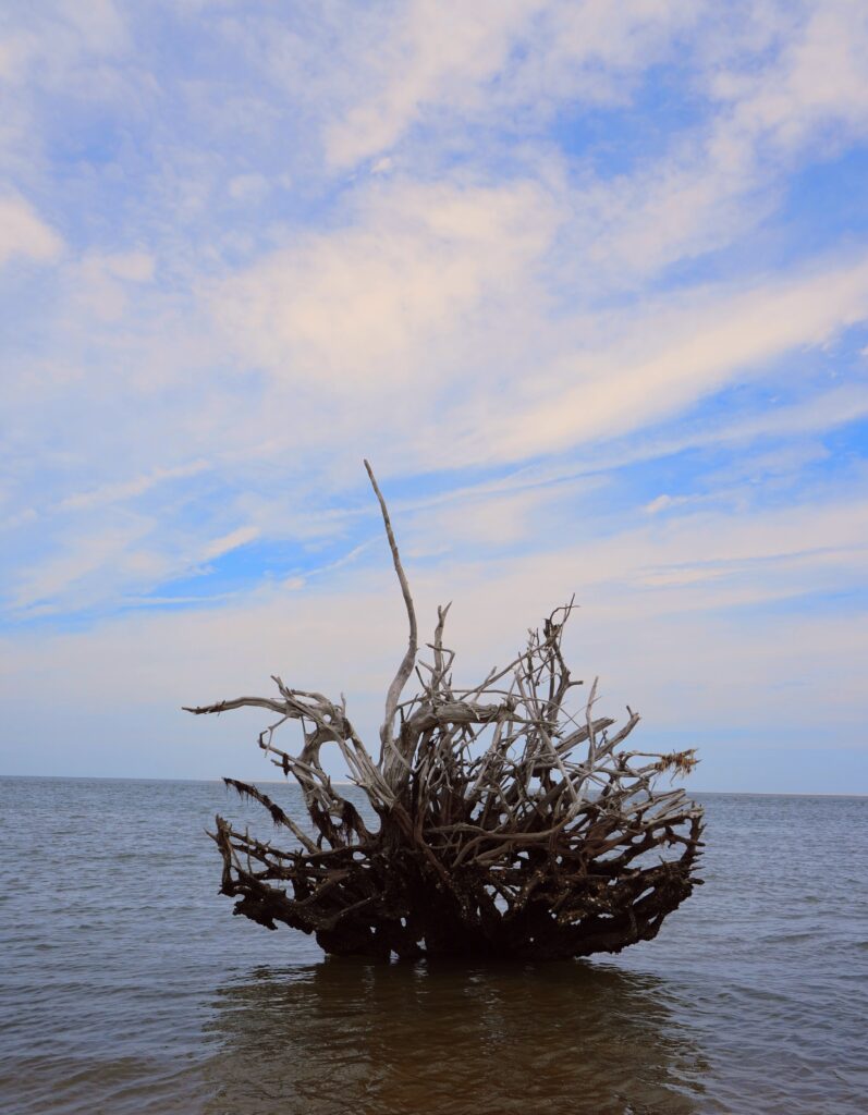 Black Rock Beach