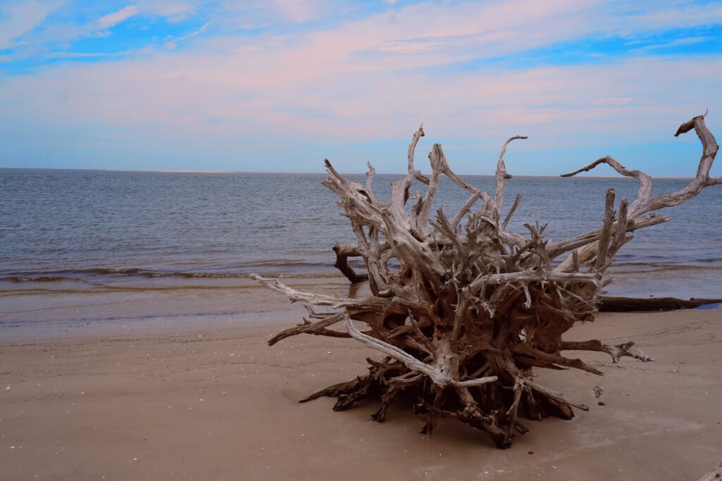 Black Rock Beach