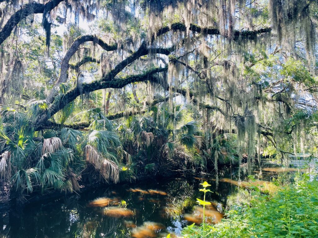 Egan's Creek Greenway
