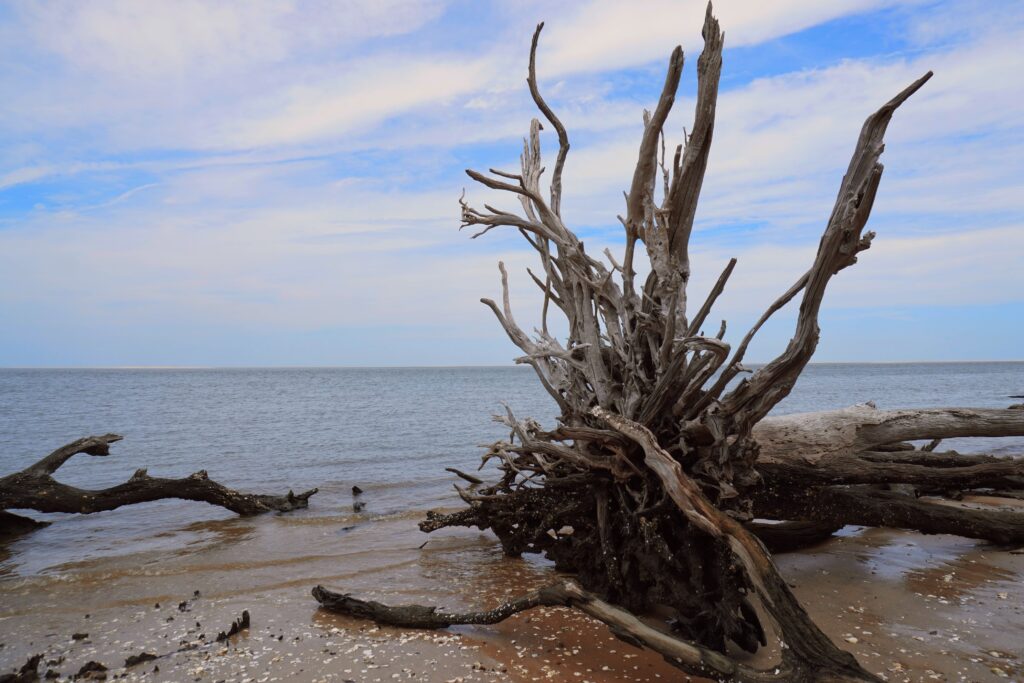 Boneyard Beach