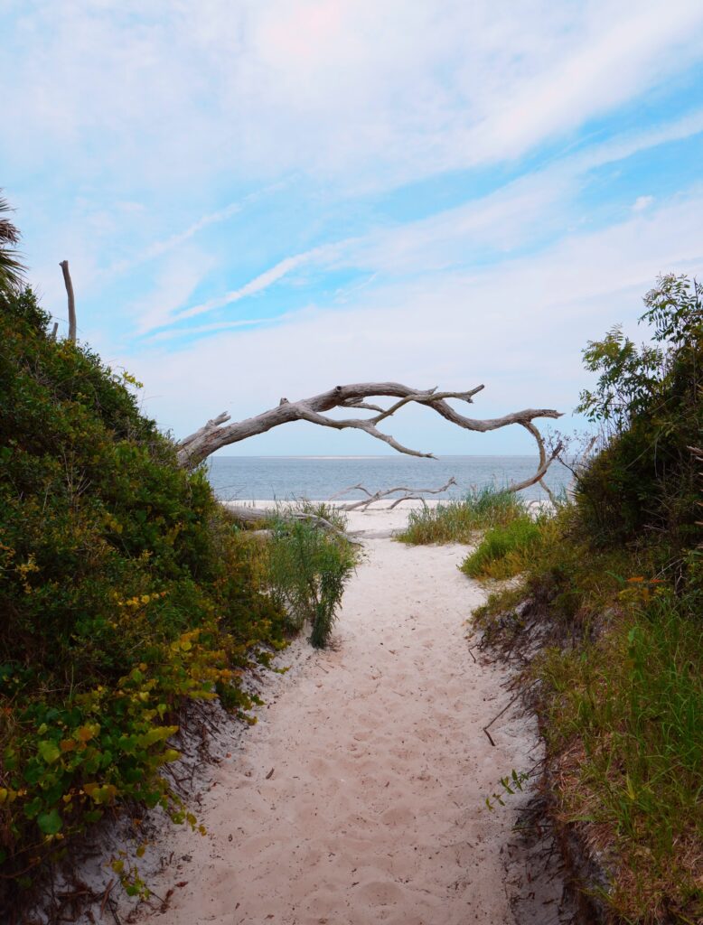 Black Rock Beach