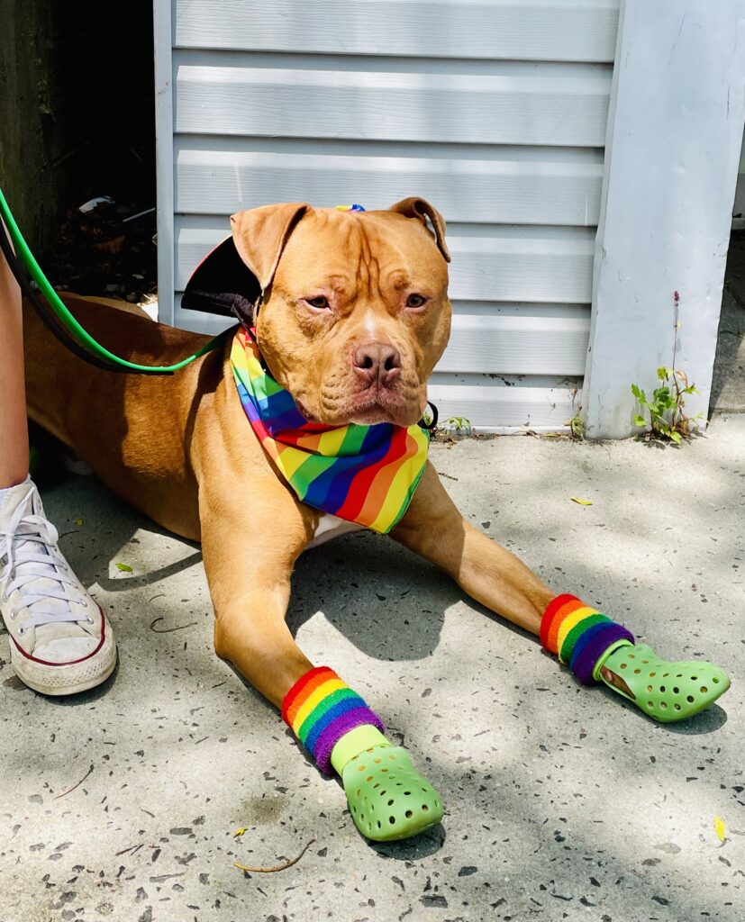 Gay Pride in Greenport