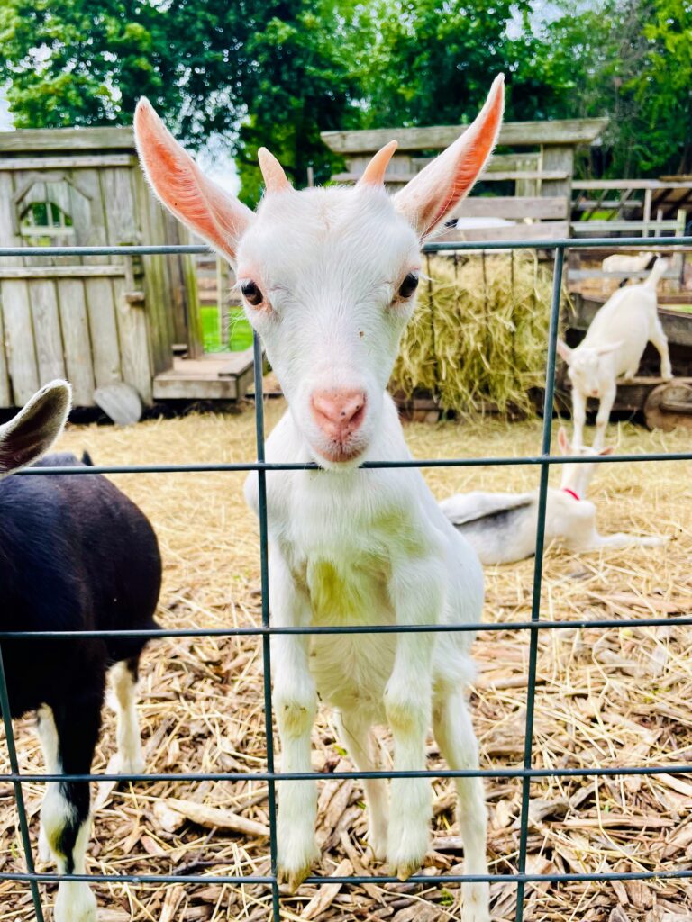 Goodale Farms