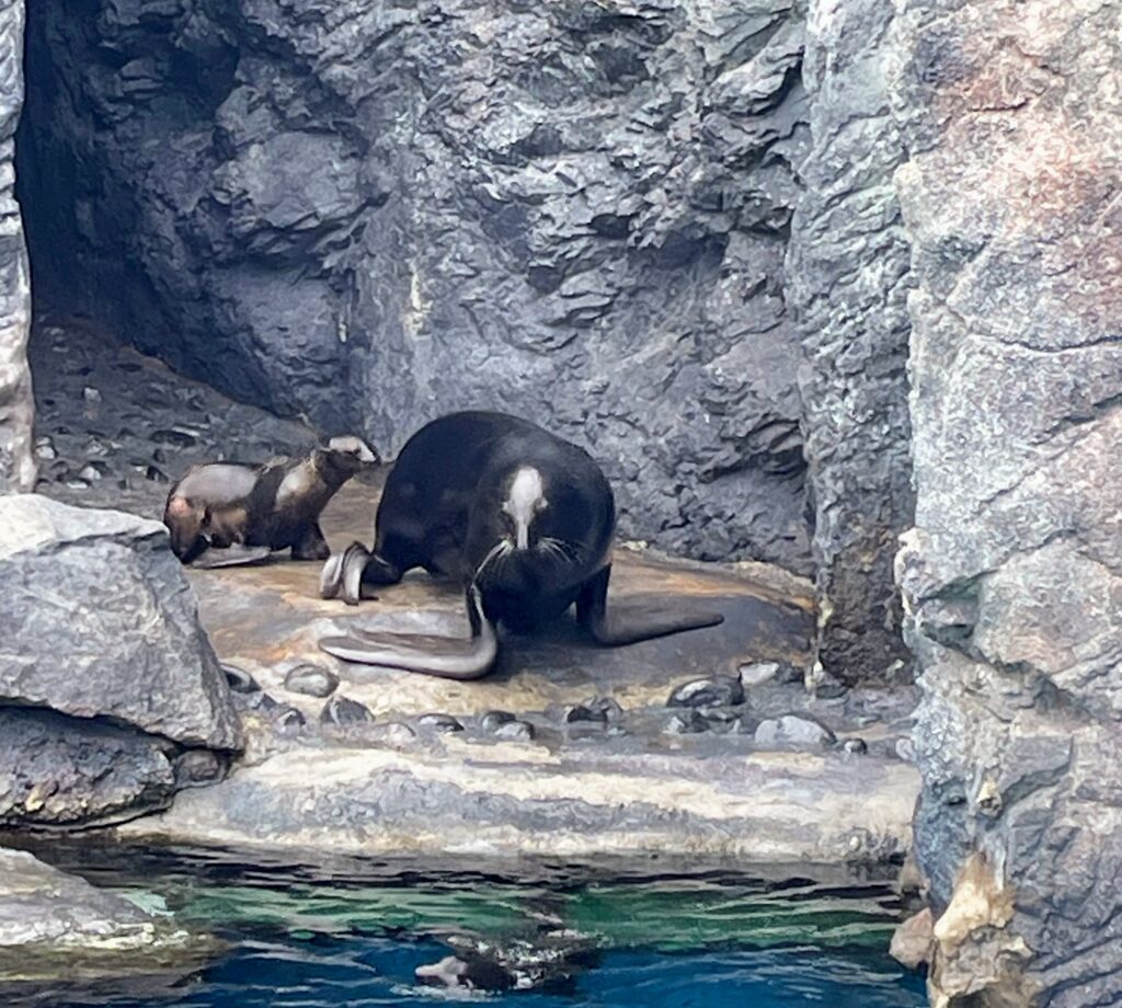 Mystic Aquarium