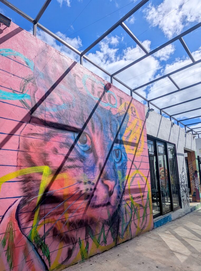 Wynwood Murals Miami