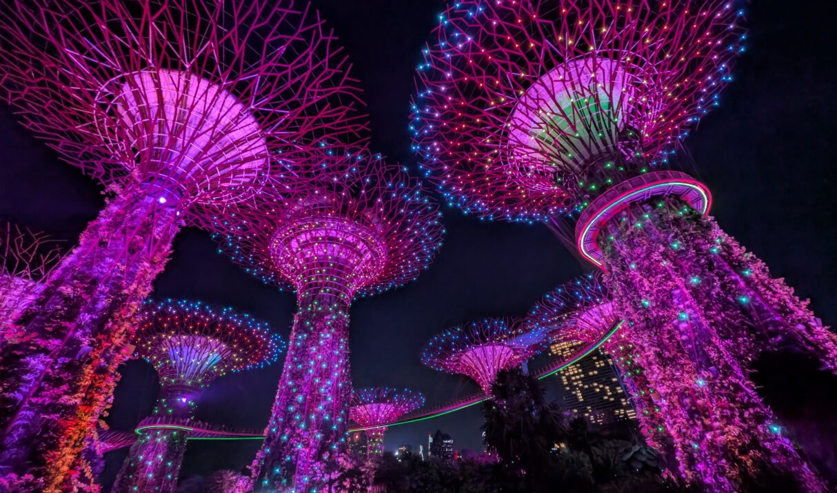 Singapore Stopover: Hawker Centers, a Health Scare, and the Most Futuristic Garden on Earth