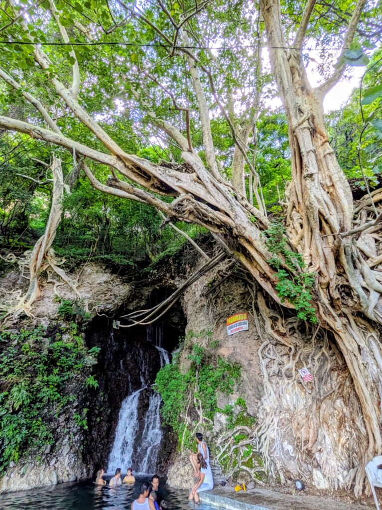 Balneario La Toma jungle pools near Tequila Jalisco